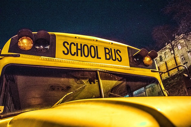 В Сургуте от дач до школ будут ходить бесплатные автобусы для детей