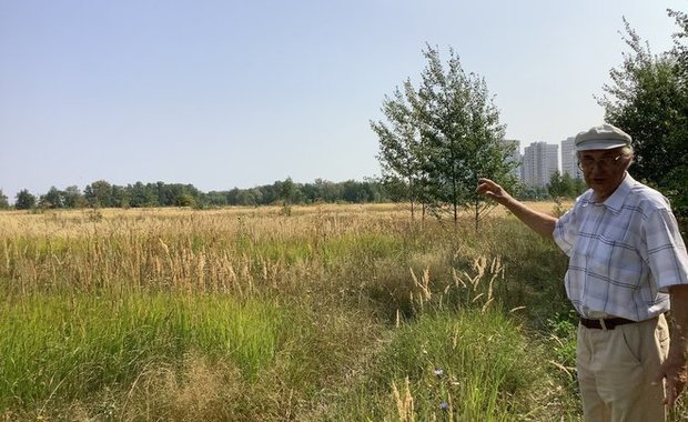 Казанский эколог Мухачев предложил создать в городе луговой экопарк