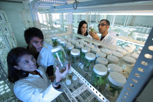 Геномный центр в Сургуте станет объектом трансфера биотехнологий