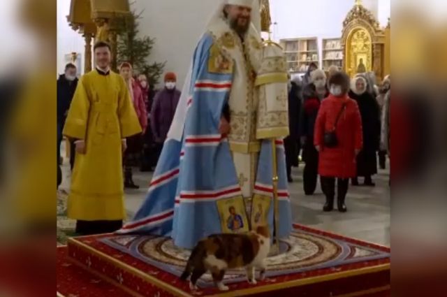 Кот посетил рождественскую службу в кафедральном соборе Твери