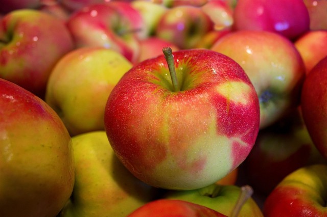 В Твери изъято и уничтожено 250 килограмм яблок