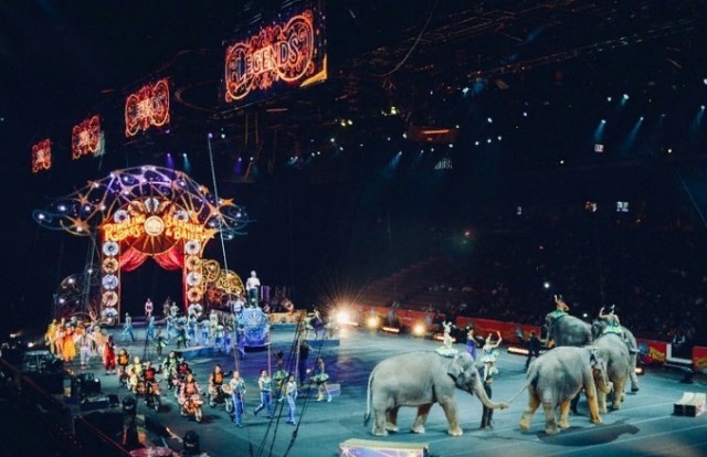 Ивановцы удивлены очередному уходу цирка на каникулы