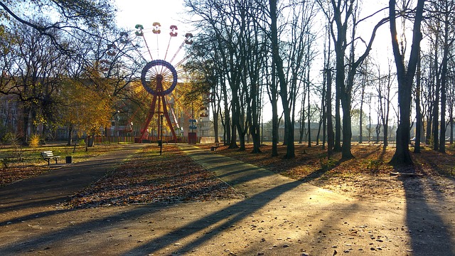 В Белгороде в Пикник-парке на Фестивальной появятся аттракционы