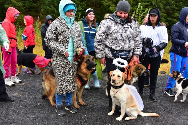 В Ханты-Мансийске появилась первая площадка для тренировки собак