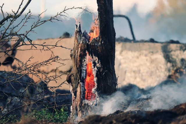 В Югре зафиксирован один лесной пожар