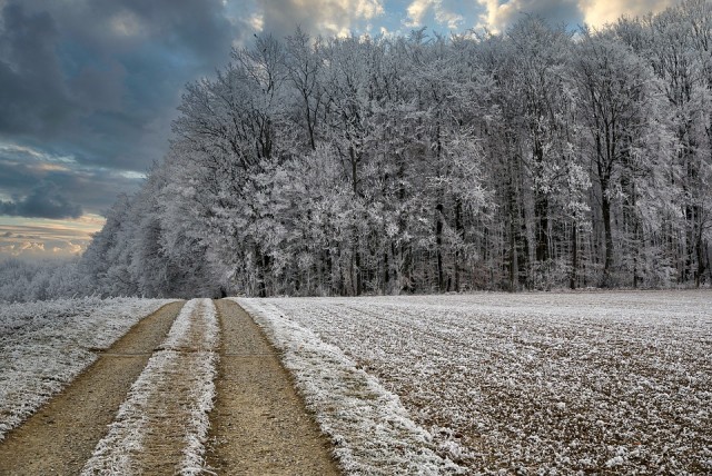 В Югре обустроят более двух тысяч километров зимних автомобильных дорог
