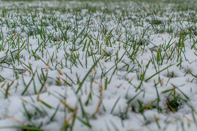 Зима близко: в Югре выпал первый снег
