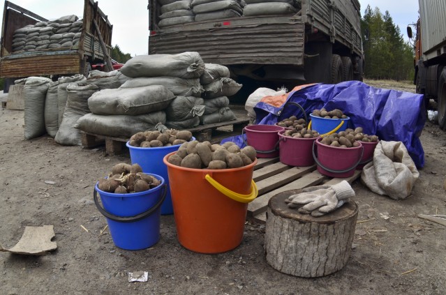 ​Торговцев на обочине наказали в Сургутском районе