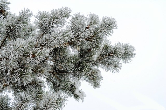 На Новый год в Сургуте пообещали -17°C