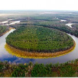 Река Торума (фото Т.А. Ядрошниковой)