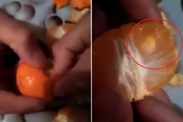 Тюменцев напугало видео о мандаринах с наркотиками внутри
