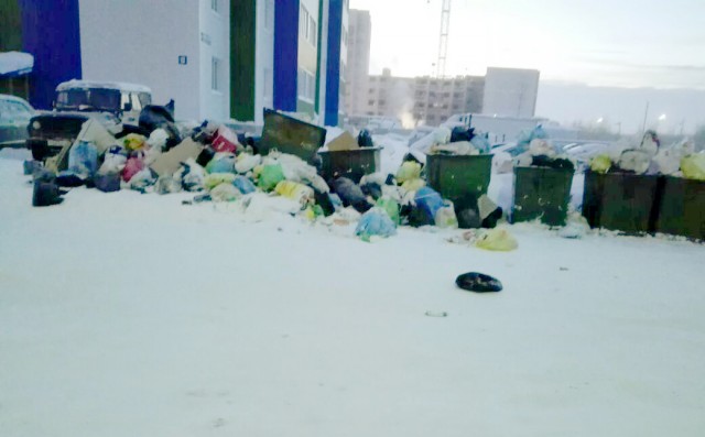 В Солнечном по улице Космонавтов, 35а с Нового года не вывозится мусор