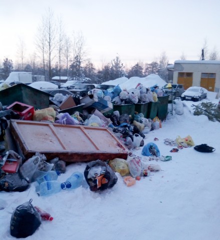 Ситуация с вывозом мусора на одной из улиц в Солнечном получила продолжение