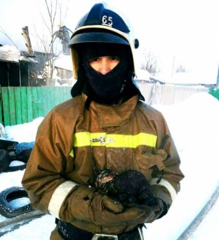В Нижневартовске спасли котенка из огня