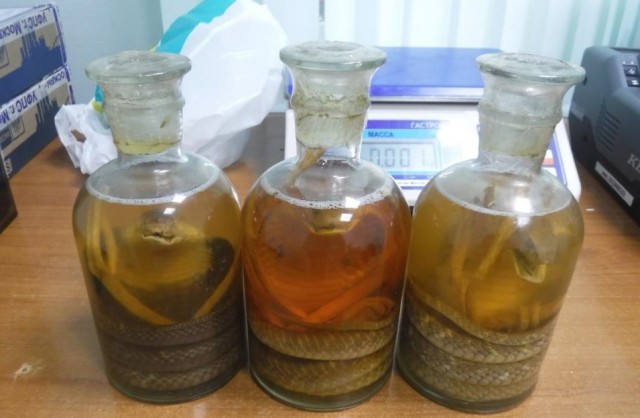 Житель Югры привез из Вьетнама редкие экземпляры кобр