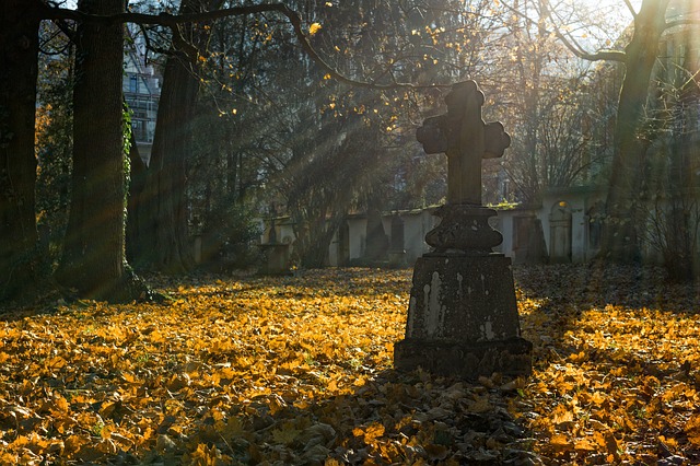 В Екатеринбурге на кладбищах обнаружили две нелегальные точки торговли