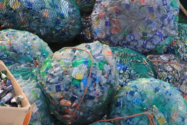 Моржи в Нефтеюганске очистили берег и воду Голубого озера от мусора