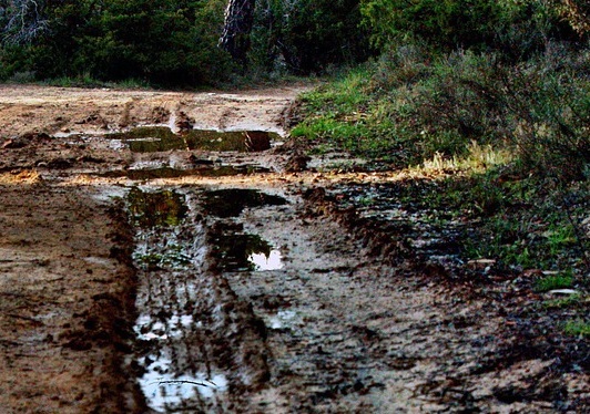 Нефтяная компания в Югре заплатит 70 миллионов рублей за ущерб природе