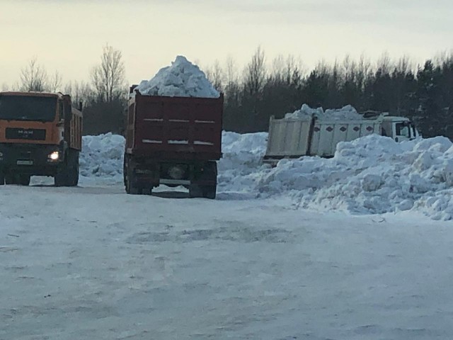 ОНФ требует прекратить незаконное складирование снега в Сургуте