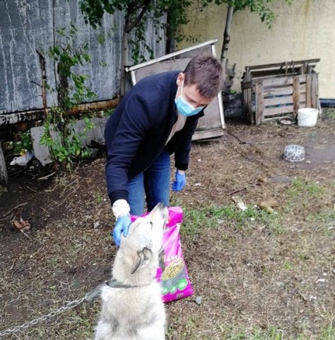 МУП «ТО УТВиВ №1» Сургутского района привезли вкусные подарки для собак и кошек