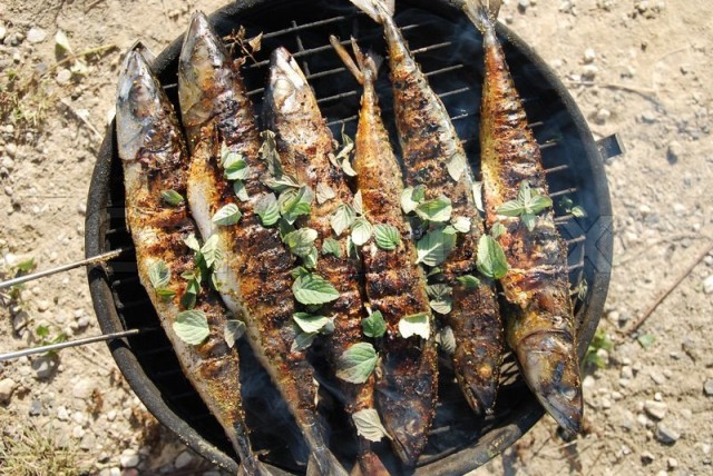 9 июля в Казыме отметят главное событие года - рыбный фестиваль