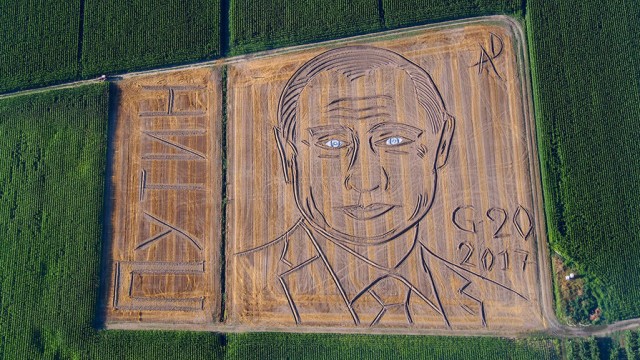 Итальянский фермер создал на своём поле огромный портрет Путина