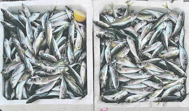 ​В Югре ограничили количество выловленной рыбы