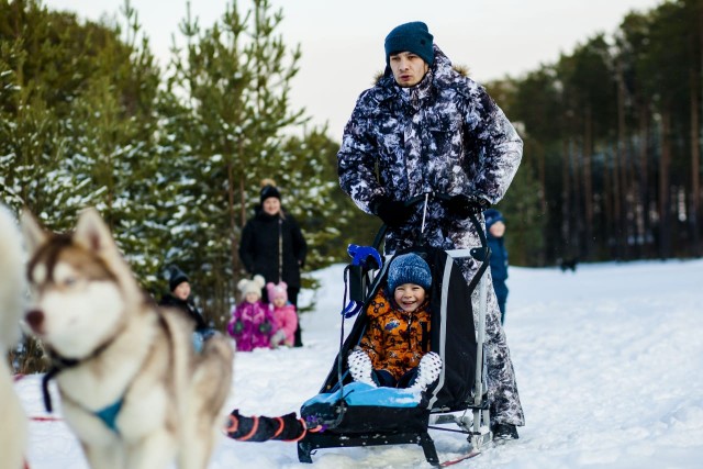 Жителям Сургутского района предлагают прокатиться: кому - на лыжах, кому - на собачьих упряжках