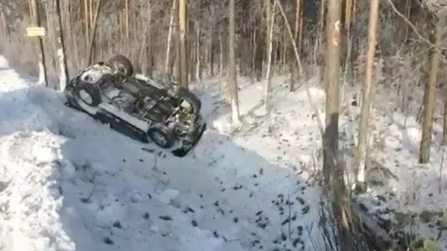 В Сургутском районе водитель на «Лексусе» смёл несколько деревьев, но остался жив