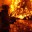 В Сургутском районе в этом году произошло 6 лесных пожаров