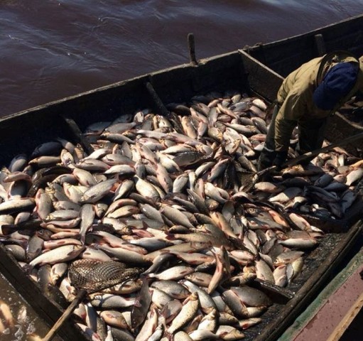 «Восход» в Сытомино начал промышленный вылов рыбы