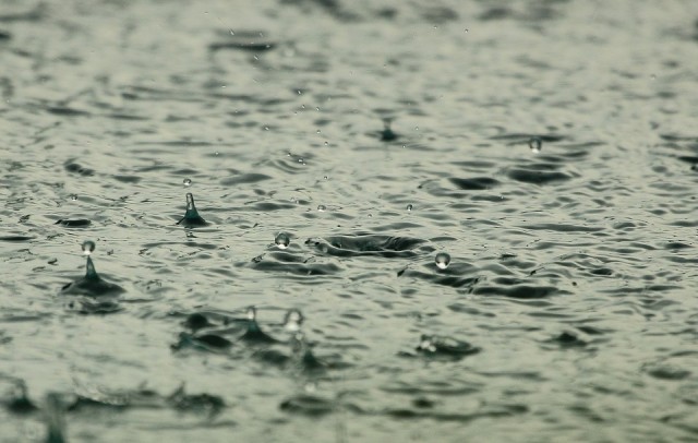 В Югре в ближайшие дни прогнозируют дожди и грозы‍