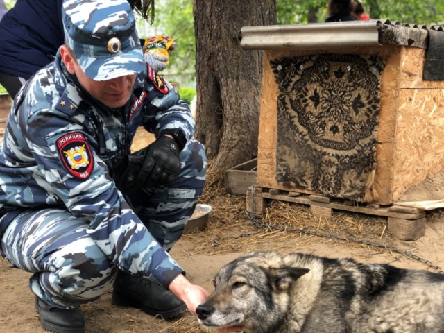 Полицейские Сургутского района ухаживают за бездомными животными