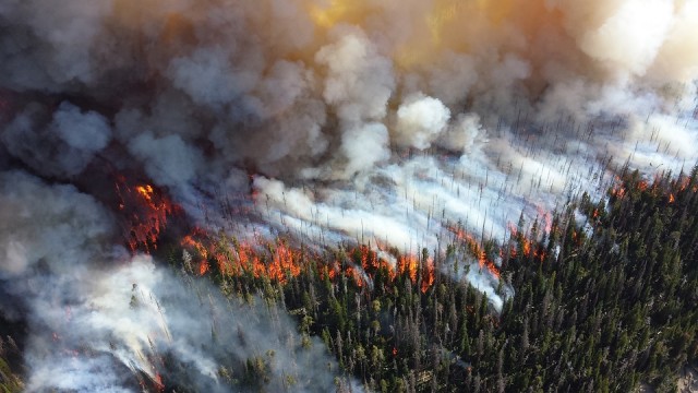 В Югре зарегистрированы четыре лесных пожара