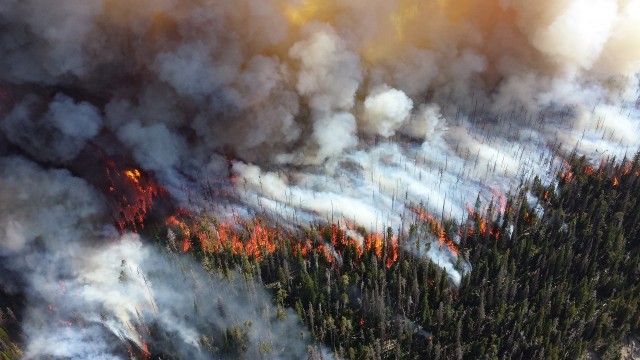 11 лесных пожаров разгорелись в Томской области из-за гроз