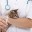 В Югре началась кампания по вакцинации животных от бешенства