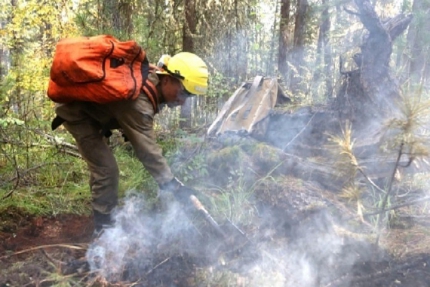 В праздничные дни в Югре зарегистрирован первый лесной пожар