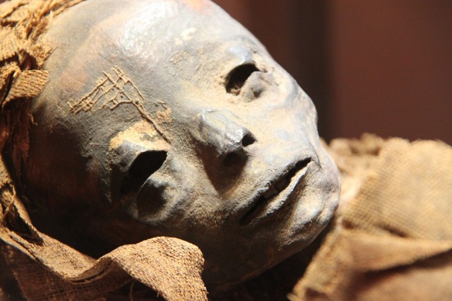 В Салехарде нашли мумию