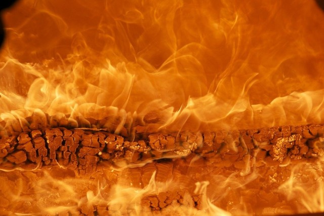 В Курганской области в собственном доме сгорел 63-летний мужчина