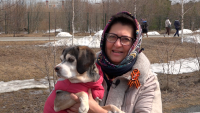 Сургутский район поддержал окружную акцию в защиту бездомных животных