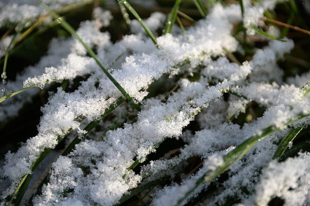 В Сургуте и Сургутском районе прошёл снегопад. ВИДЕО
