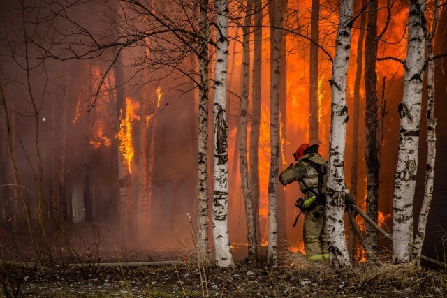 ​В лесах Сургута установили повышенный класс пожарной опасности
