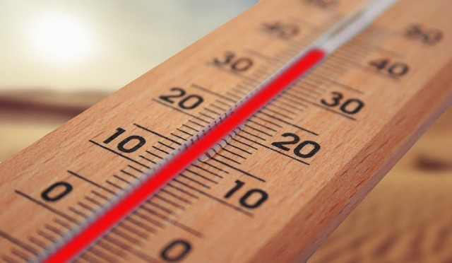 В Югре синоптики обещают до 19 градусов тепла