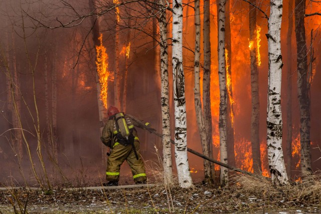 В ХМАО тушат 17 лесных пожаров на площади почти 1300 гектаров