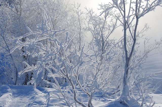 ​В Югре ожидается резкое похолодание до минус 37 градусов