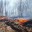 В Сургутском районе усилят профилактику лесных пожаров