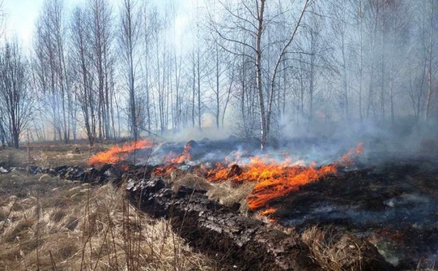В Сургутском районе усилят профилактику лесных пожаров