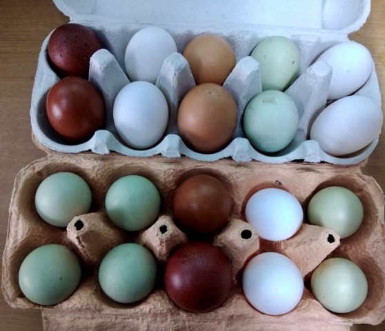 ​В Сургутском районе нашли способ, как не красить яйца к Пасхе