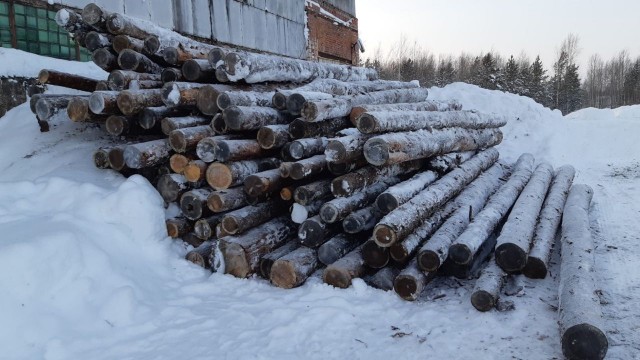 Жителям Локосово, нуждающимся в помощи, бесплатно завезли дрова