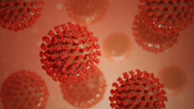 ​В Югре за сутки коронавирусом заразились 253 человека, умерли 12